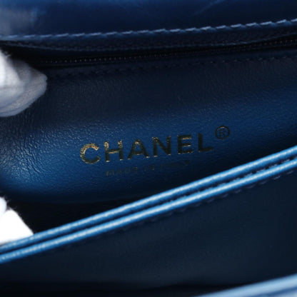 Chanel Coco Handle V-Stitch Exotic Leather Handbag