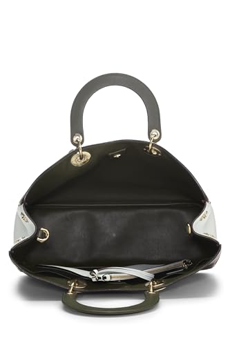 Dior, Multicolor Leather Diorissimo Large, Multi