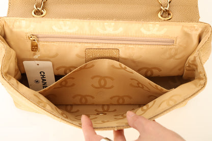 Chanel 2002 Caviar Full Flap