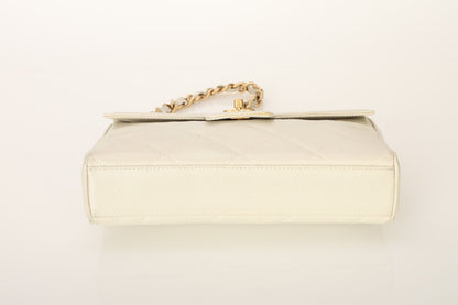 Chanel 2000 Caviar Iridescent Shoulder Bag