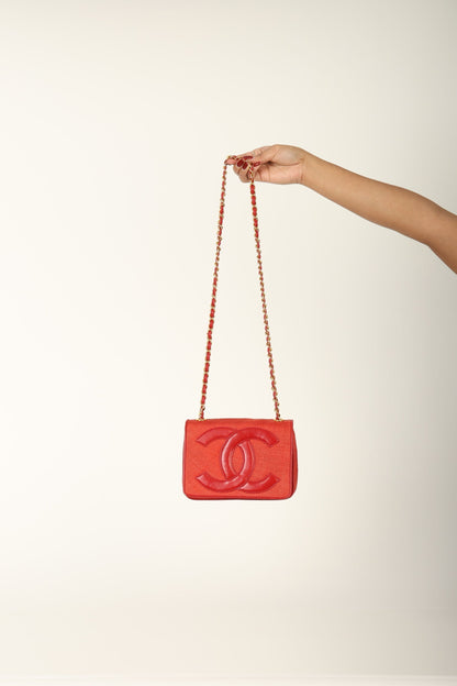 Extremely Rare Chanel Raffia Timeless Mini Full Flap