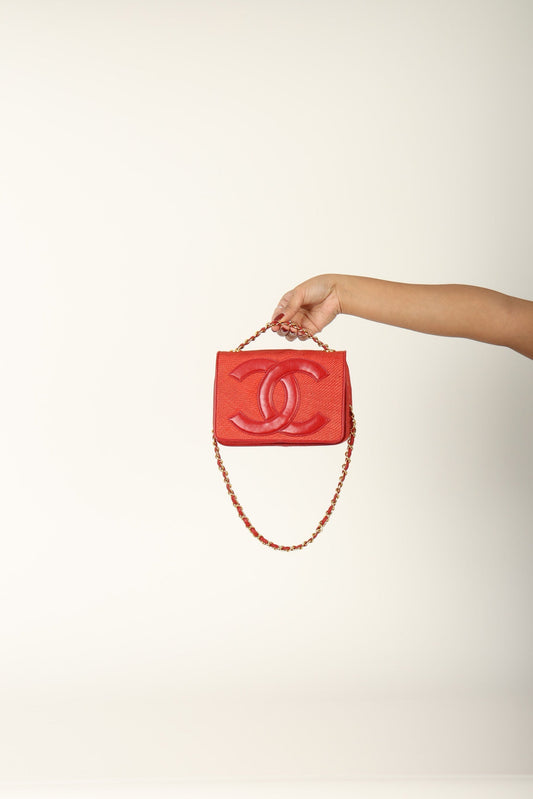 Extremely Rare Chanel Raffia Timeless Mini Full Flap