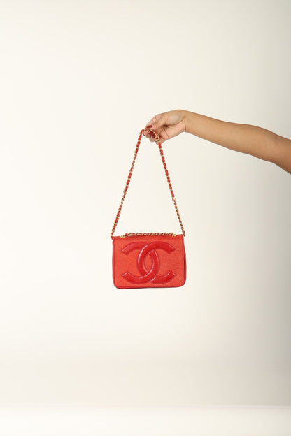 Extremely Rare Chanel Raffia Timeless Mini Full Flap