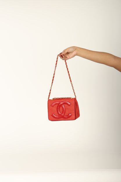 Extremely Rare Chanel Raffia Timeless Mini Full Flap