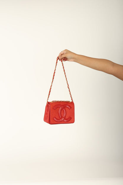 Extremely Rare Chanel Raffia Timeless Mini Full Flap