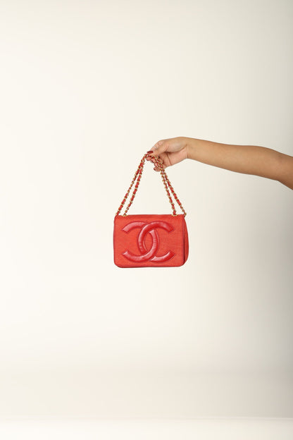 Extremely Rare Chanel Raffia Timeless Mini Full Flap