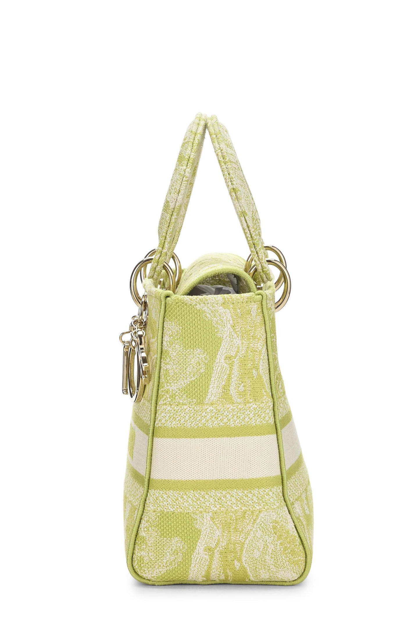 Dior, Green Embroidered Canvas Lady D-Lite Medium, Green