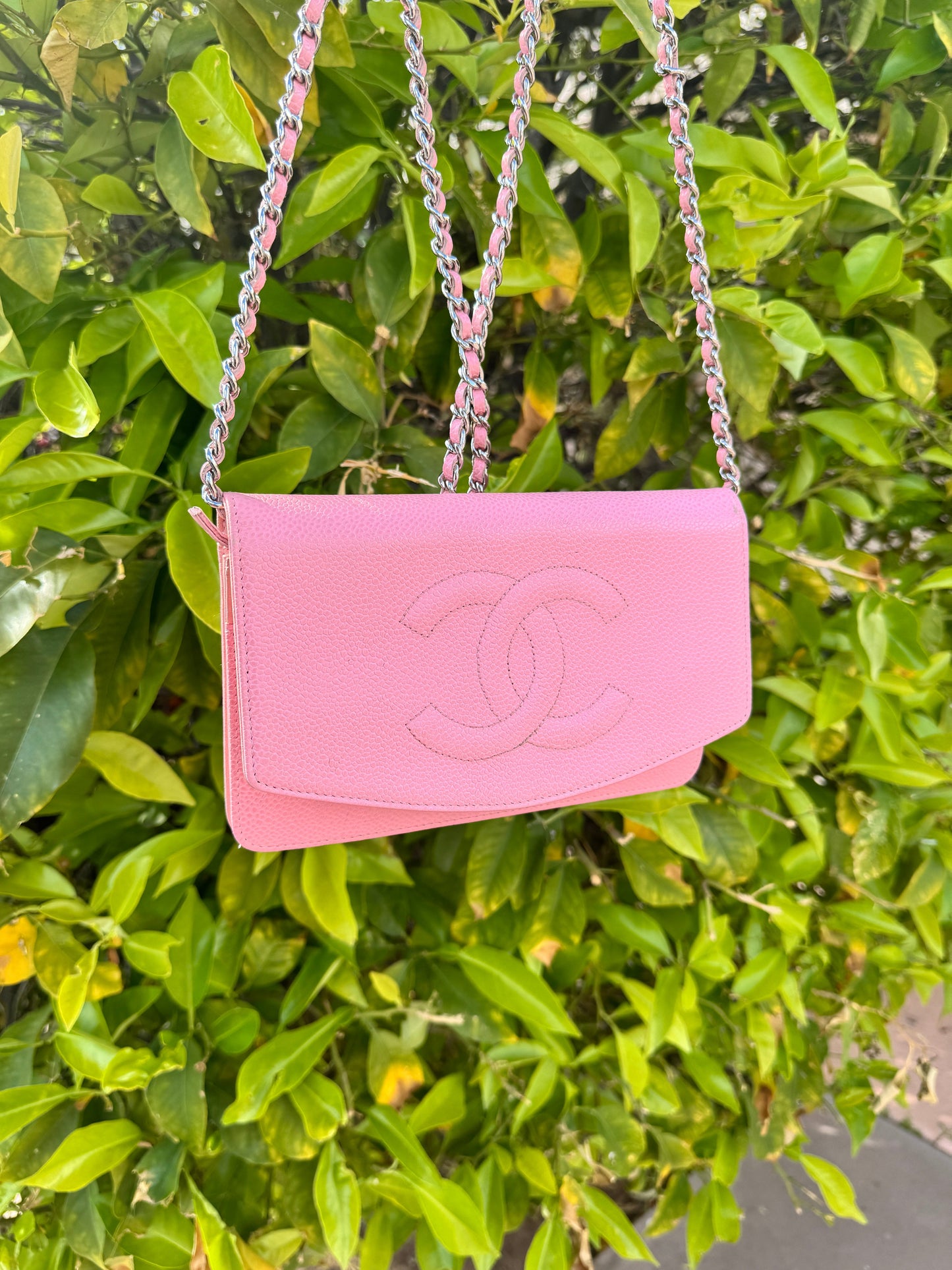 Chanel Vintage Pink Caviar Timeless Wallet On Chain WOC