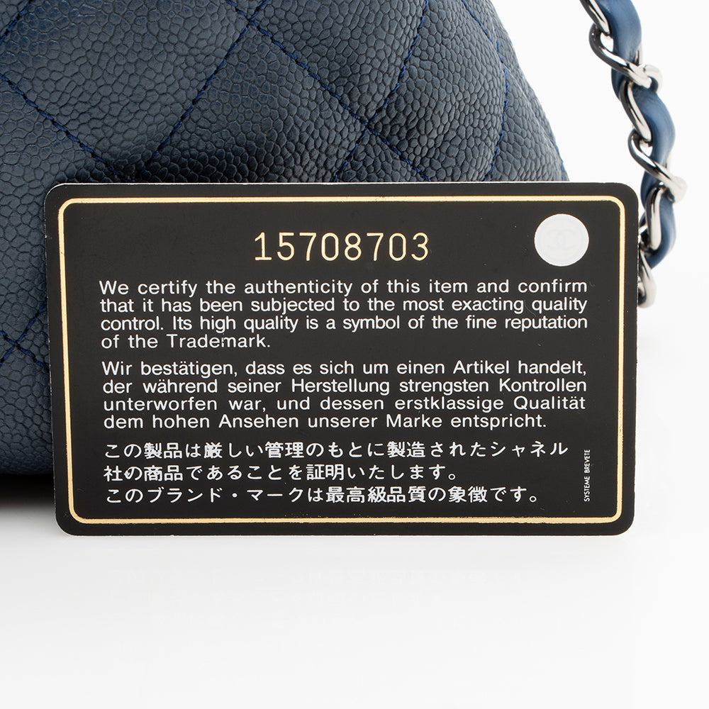 Chanel Caviar Leather French Riviera Hobo (SHF-16095)