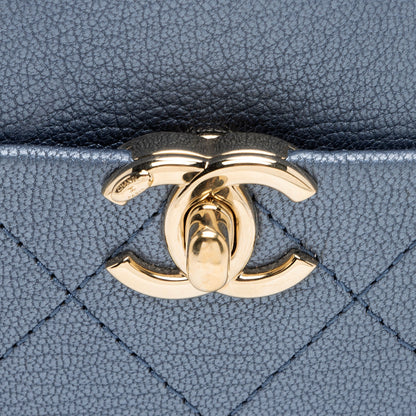 Chanel Metallic Goatskin Casual Trip Camera Bag (SHF-jQIRUc)