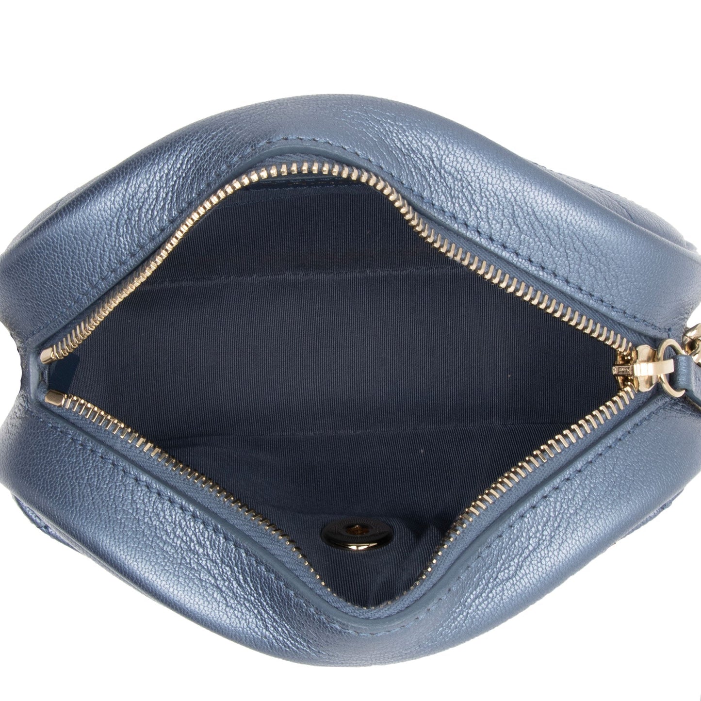 Chanel Metallic Goatskin Casual Trip Camera Bag (SHF-jQIRUc)