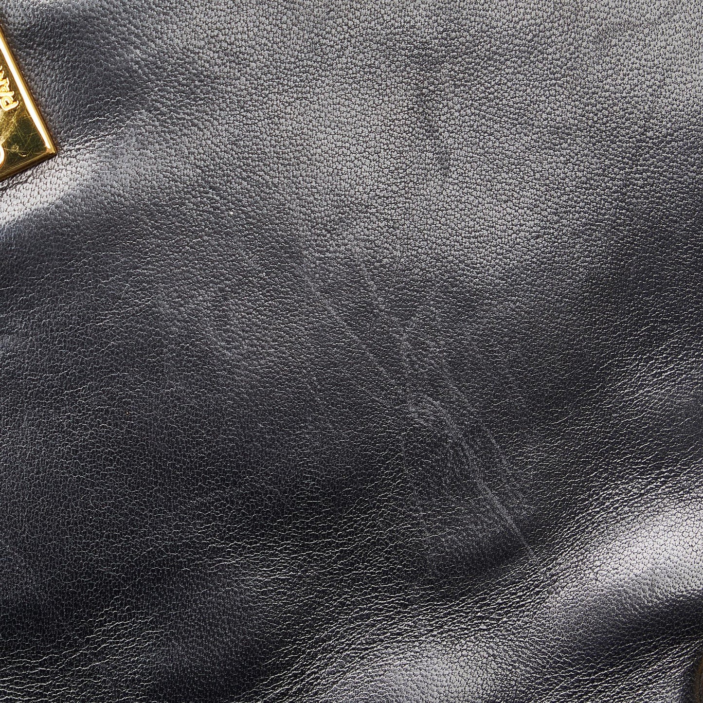 Chanel Small Lambskin Diana (SHG-Qg8icT)