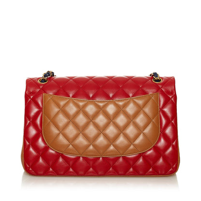 Chanel Tricolor Medium Classic Double Flap bag (SHG-B078YB)