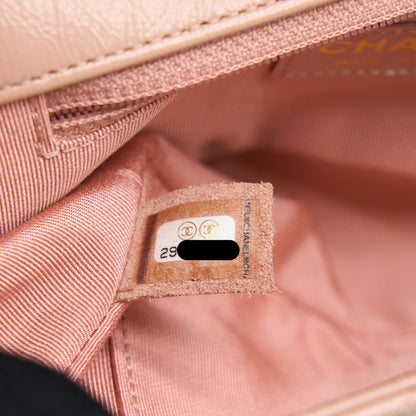 Chanel Seasonal Flap Bag Aged Calfskin Pink LGHW