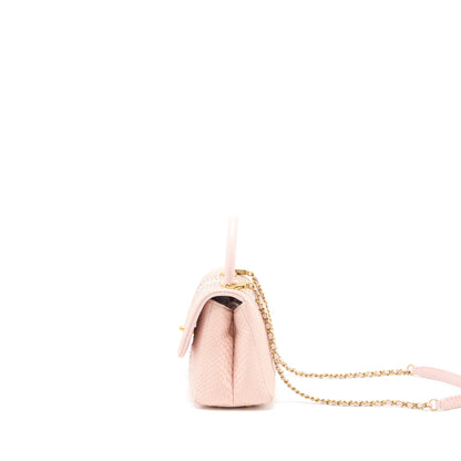 Chanel Small Coco Handle Python Leather Light Pink Brushed GHW