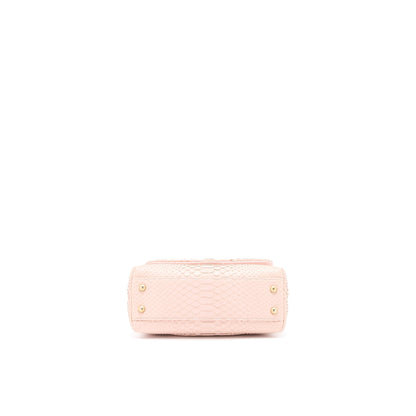 Chanel Small Coco Handle Python Leather Light Pink Brushed GHW