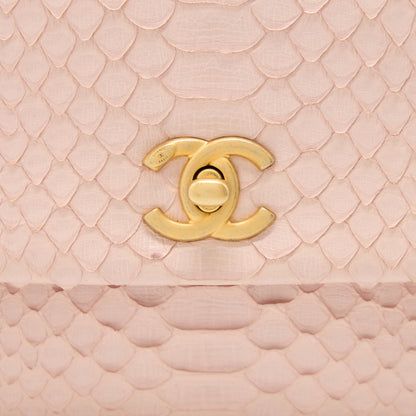 Chanel Small Coco Handle Python Leather Light Pink Brushed GHW
