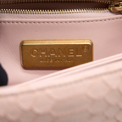Chanel Small Coco Handle Python Leather Light Pink Brushed GHW