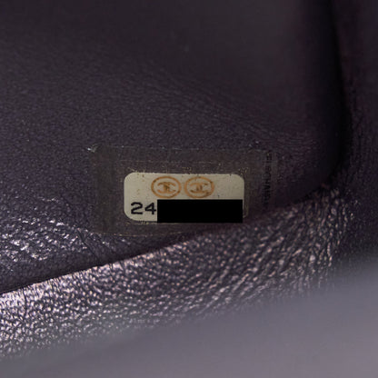 Chanel 2.55 225 Reissue Flap Bag Lambskin Iridescent Hardware