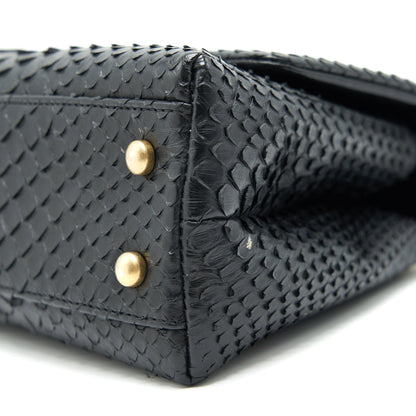Chanel Coco Handle Mini Python Leather Black GHW