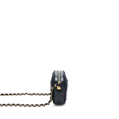 Chanel Camera Bag Leather/ Canvas Black GHW
