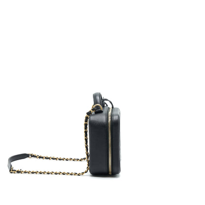 Chanel Cavia Leather Vanity Bag Black GHW