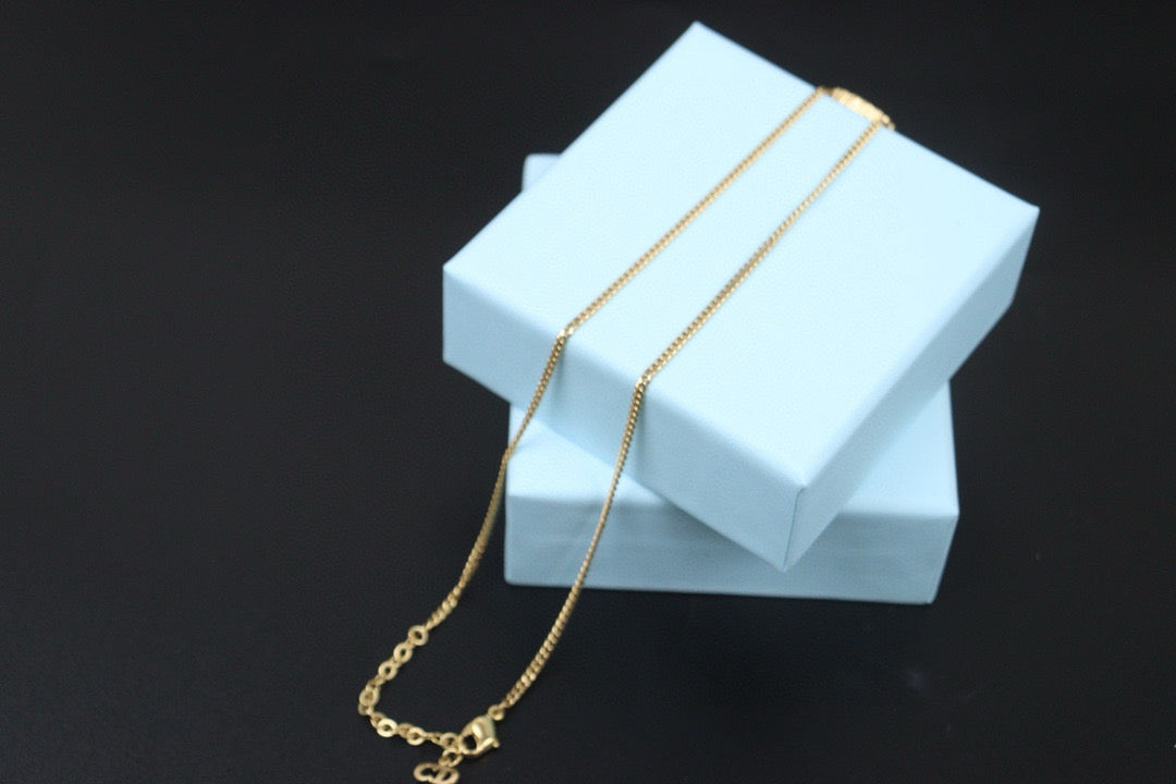 Good ( Rank AB)  Dior Heat Rhinestone Necklace 24102211