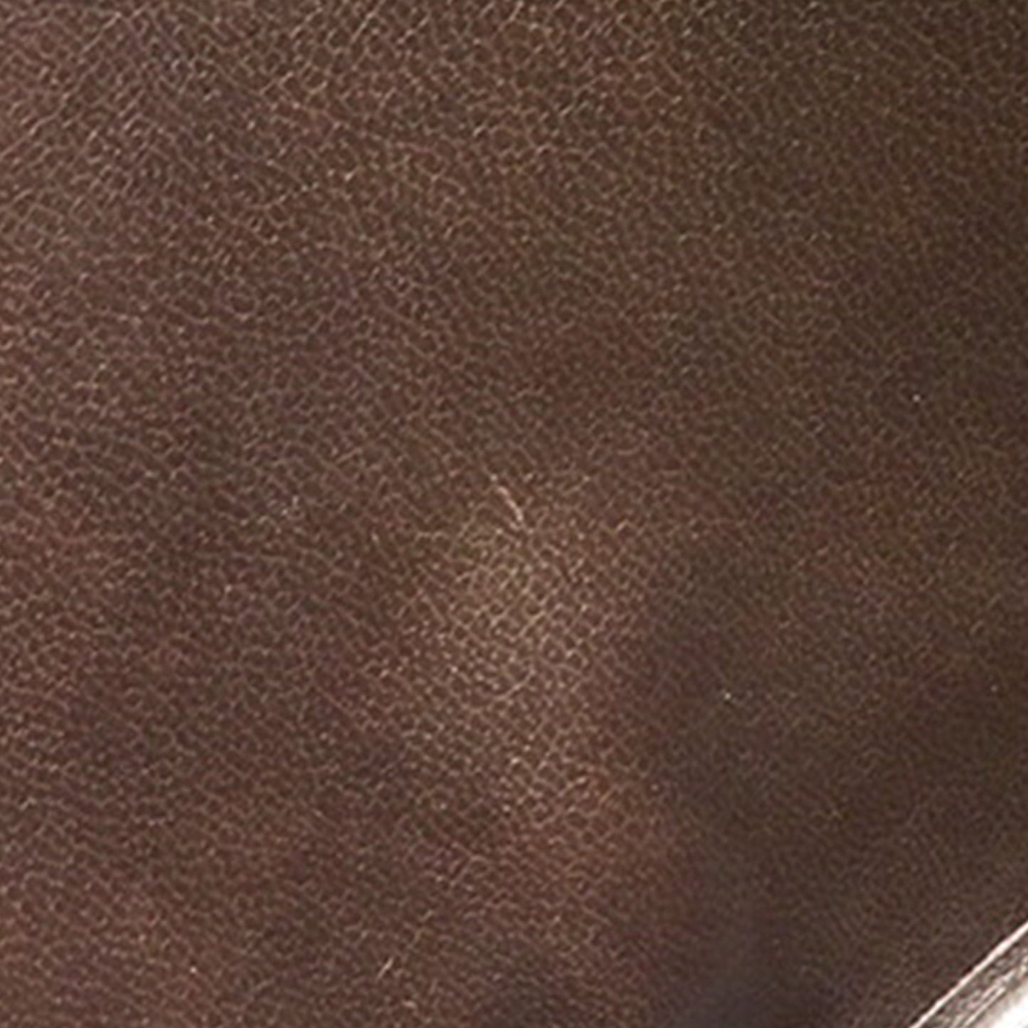 Brown Chanel CC Lambskin Vanity Case