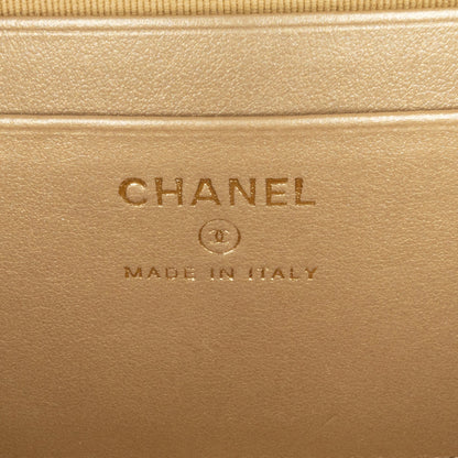 Chanel Sac CC Quilted Lambskin Pearl Crush Camera Bag