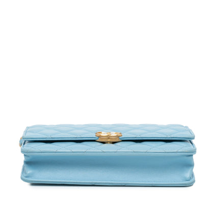 Chanel Sac Quilted Lambskin Candy Chain Wallet on Chain