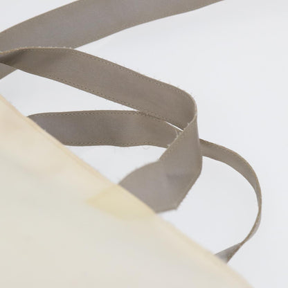 CHANEL Tote Bag Nylon 2way White Silver CC bs17286