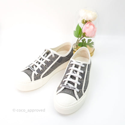 Christian Dior WalknDior Gray Cannage Embroidered Metallic Cotton