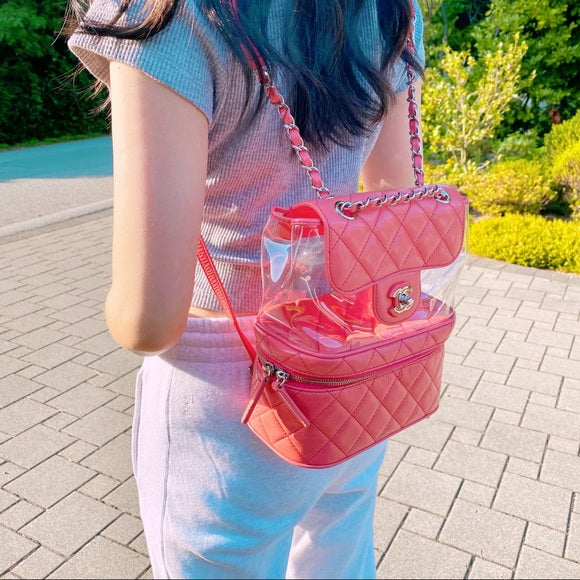 CHANEL Leather and PVC Vanity Flap Backpack BagTWS