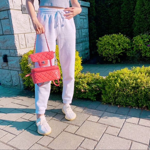 CHANEL Leather and PVC Vanity Flap Backpack BagTWS